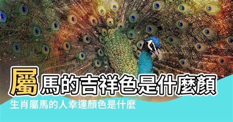 屬馬幸運顏色|【屬馬幸運色】提升點擊率！2024年屬馬幸運色大揭秘與招財技。